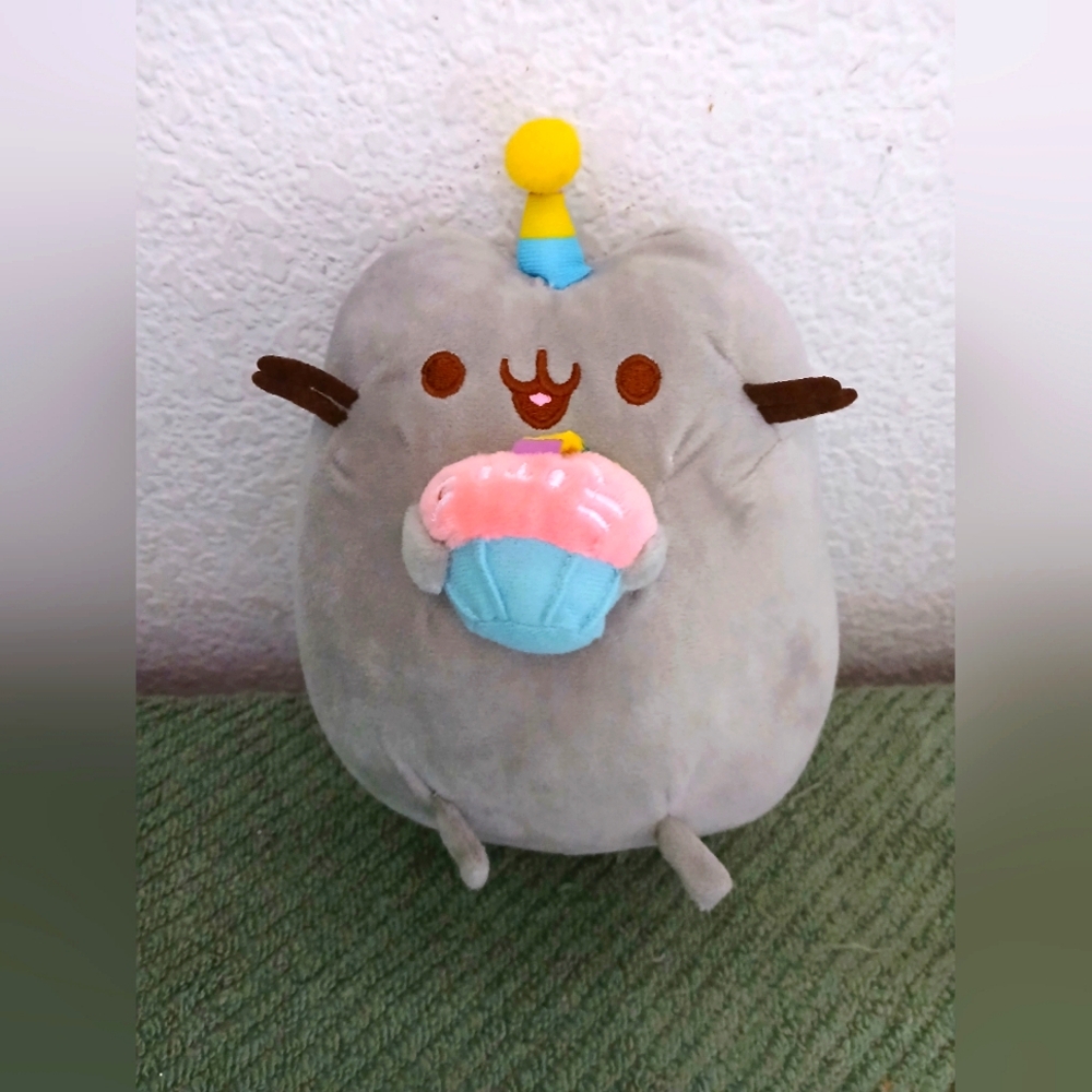 Pusheen birthday plushie